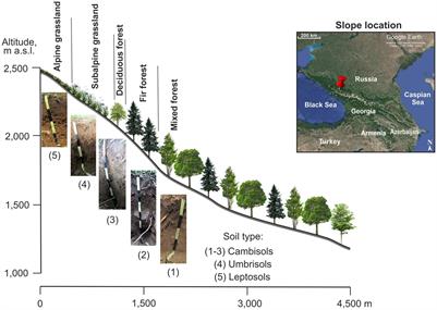 Contribution of microbial activity and vegetation cover to the spatial distribution of soil respiration in mountains